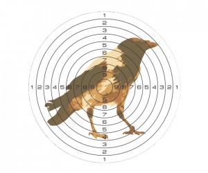 Мишени для пневматики 25 м цветная, рисунок «Ворона» (50 штук)