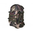 Рюкзак тактический AS-BS0034 Outdoor Molle 3D Assault Military Light Version 35L (W) - фото № 1